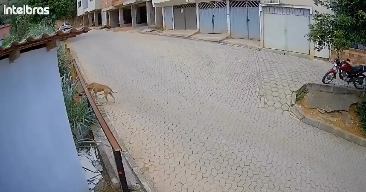 Un niño de seis años fue atropellado por una motocicleta en la Rua do Catavento